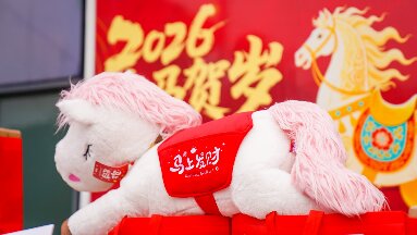 纳福启新程！2026年MG不朽情缘网站科技园新春大庙会圆满闭幕